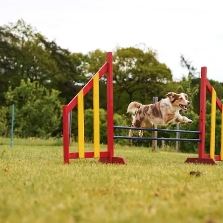 Hof Koehne - Haus Am Spielplatz - Schweinchen * Шмалленберг