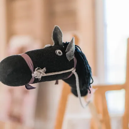 Hof Koehne - Haus Am Spielplatz - Schweinchen * Шмалленберг