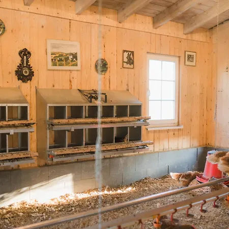 Hof Koehne - Haus Am Spielplatz - Schweinchen *