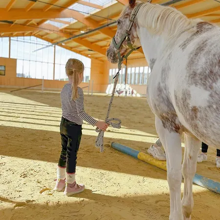 Hof Koehne - Haus Am Spielplatz - Schweinchen *