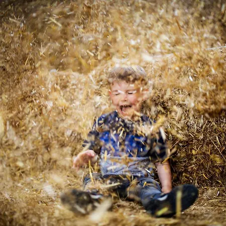 Hof Koehne - Haus Am Spielplatz - Schweinchen Апартаменты Шмалленберг