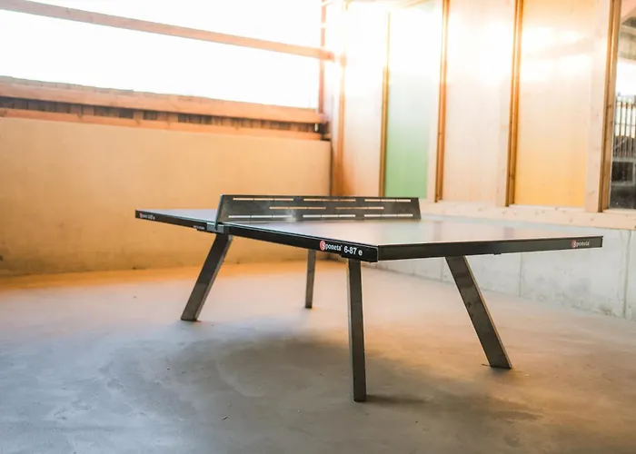 Hof Koehne - Haus Am Spielplatz - Schweinchen