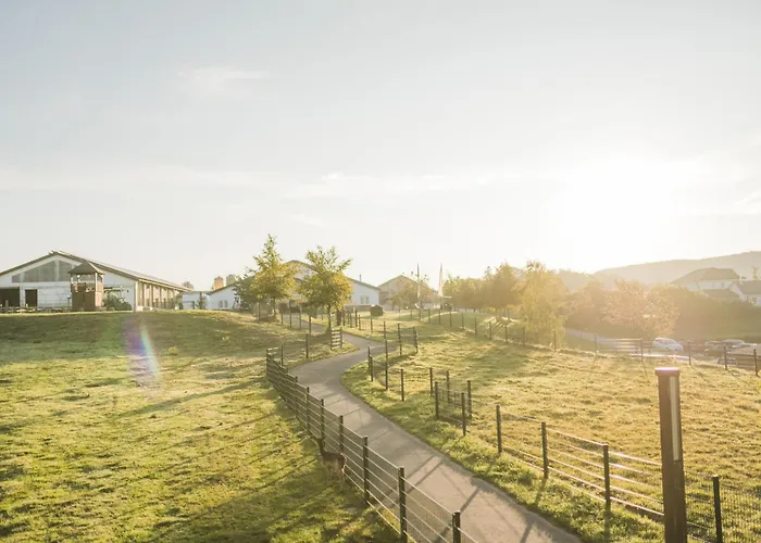 Hof Koehne - Haus Am Spielplatz - Schweinchen Apartment Schmallenberg