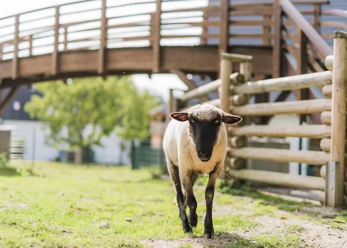 Apartment Hof Koehne - Haus Am Spielplatz - Schweinchen Schmallenberg